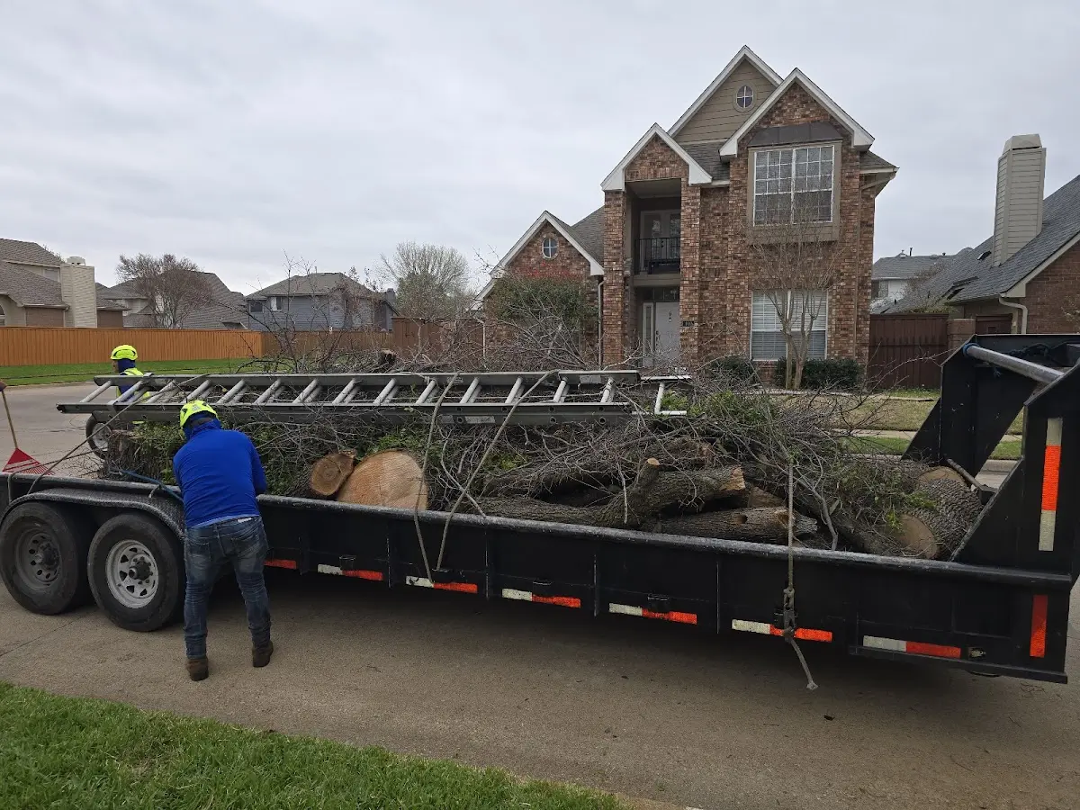 Expert Tree Pest Control with proper safety equipment in George West